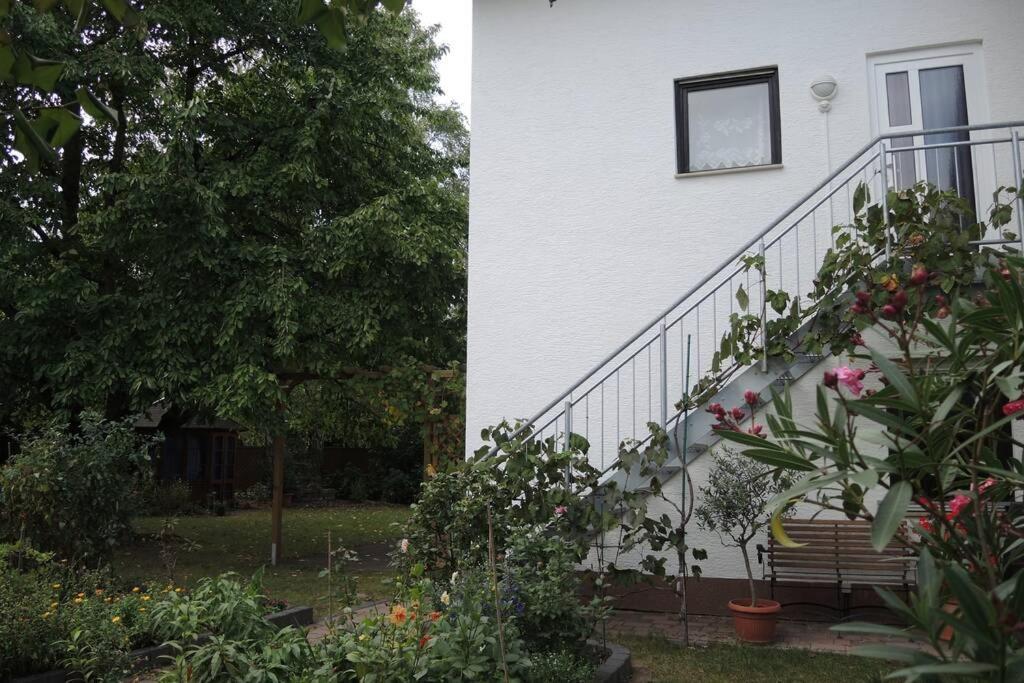 Apartement Am Kirschbaum Mommenheim Exterior photo